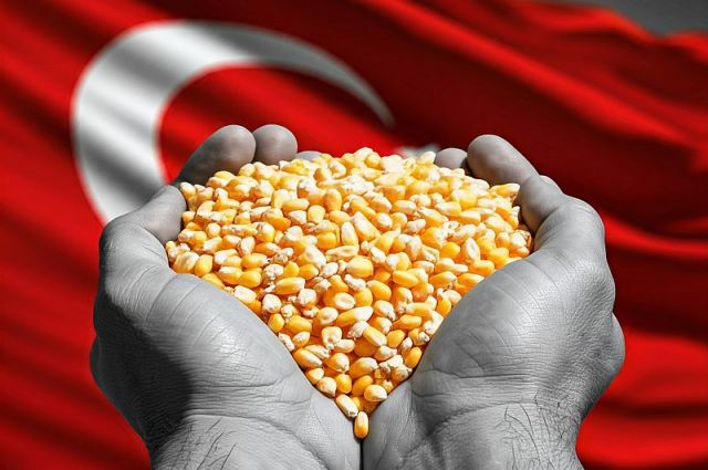 TMO'nun 350 Bin Ton Yemlik Mısır Alım İhalesi Sonuçlandı