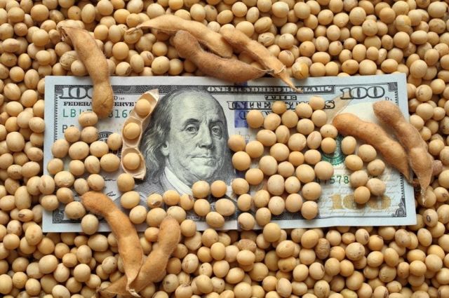 Trump–Şi görüşmesi sonrası soya fiyatları yükseldi