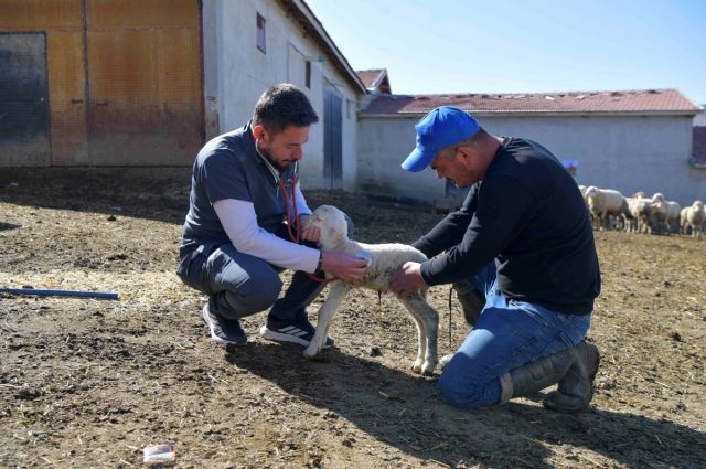 Ankara’da veteriner hizmetlerine destek başvuruları başladı