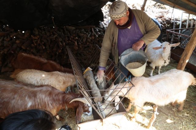 Antalya Büyükşehir’den hayvancılığa ekipman desteği