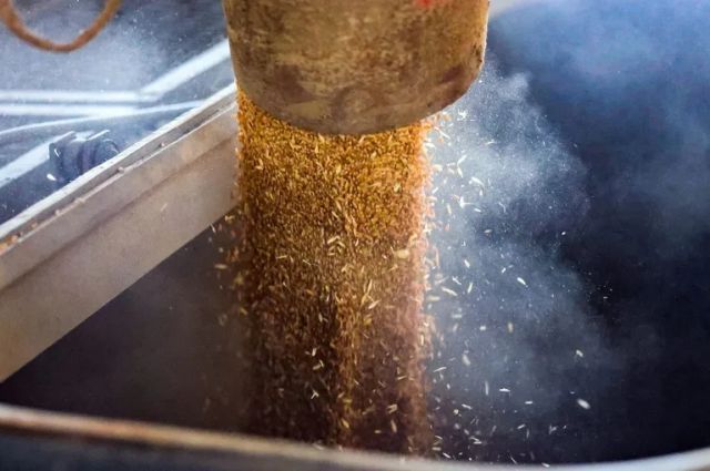 Buğday fiyatları yarı yılın en yüksek seviyesine ulaştı