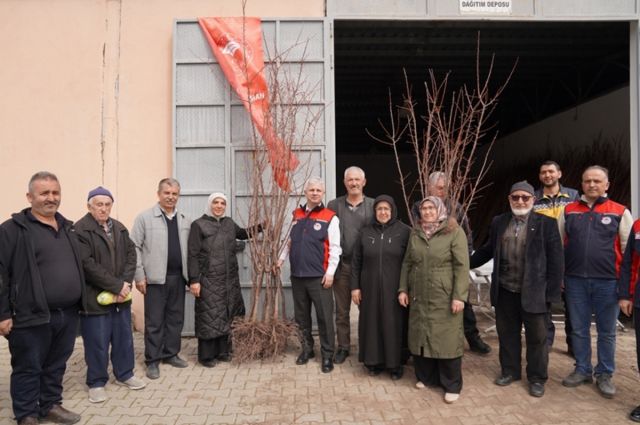 Çankırı’da 150 çiftçiye 1500 kayısı fidanı dağıtıldı
