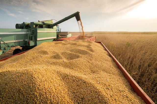 Cargill Brezilya’dan Çin’e soya ihracatını geçici olarak durdurdu