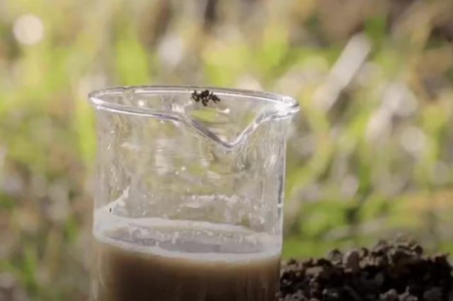 Çinli bilim insanlarından tarım arazileri için hidrokömür yöntemi