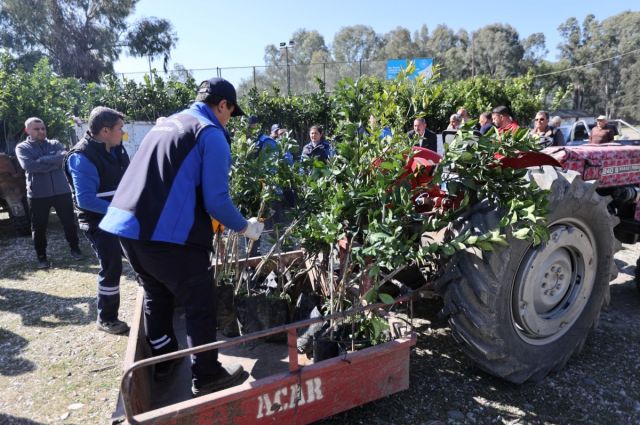 Don zararından etkilenen üreticilere fidan desteği