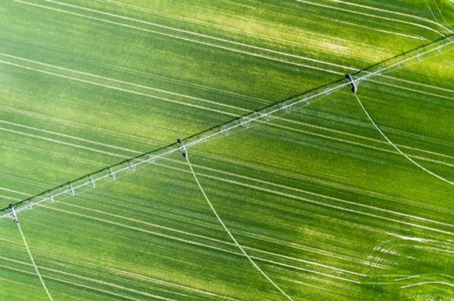 Gürer: Her gün yaklaşık 200 tarla icradan satışta