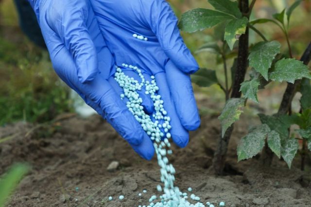 İran ve Katar’daki kesinti gübre fiyatlarını artırdı