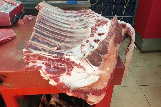 Kars Veteriner Hekimleri Odası tüberküloz için uyardı