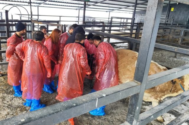 Kars VHO, KALEM Sürekli Eğitim Merkezi’ni Açtı