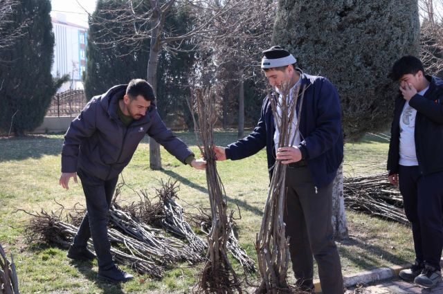 Konya’da çiftçilere fidan desteği başladı