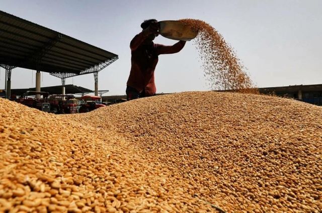 OECD-FAO: Afrika’nın gıda ithalatı 2034’e kadar artacak