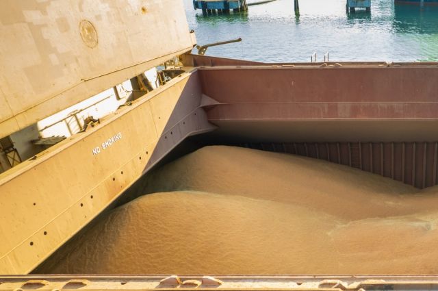 Rusya’nın Güney Kore tahıl ihracatı şubat ayında arttı