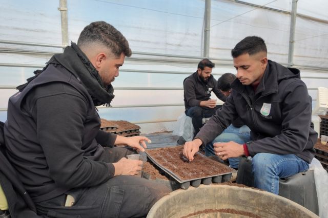 Şanlıurfa Büyükşehir 1 milyon sebze fidesi üretimine başladı