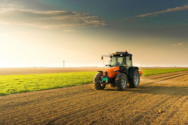 TÜİK: Tarım-GFE Ocak 2026’da %30,59 arttı