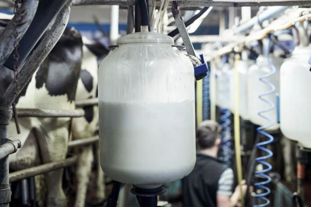 TÜSEDAD: Şubat’ta 1 Litre Çiğ Süt Maliyeti 27,64 TL Oldu