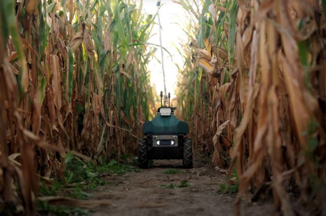 Upside Robotics mısır için gübre tasarrufu sağlayan robot geliştirdi