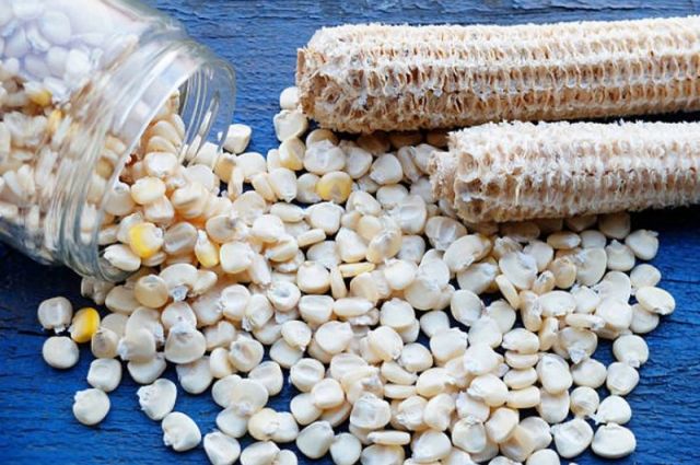 USDA: Meksika mısır üretimi 24,5 milyon tona inecek