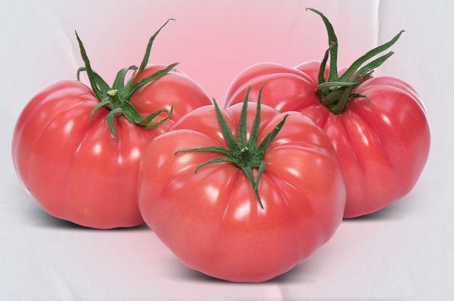 Yüksel Tohum’dan sahte tohumlara karşı kritik uyarı