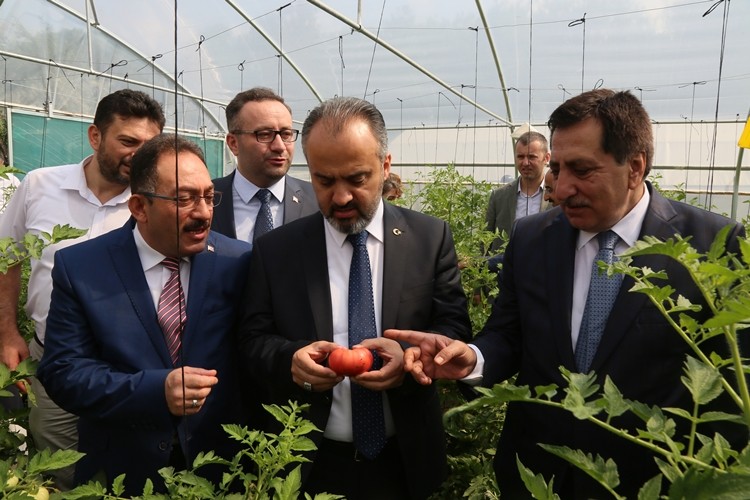 ​'Tarımla Engellerimizi Aşıyoruz Projesi'nin İlk Hasadı Yapıldı