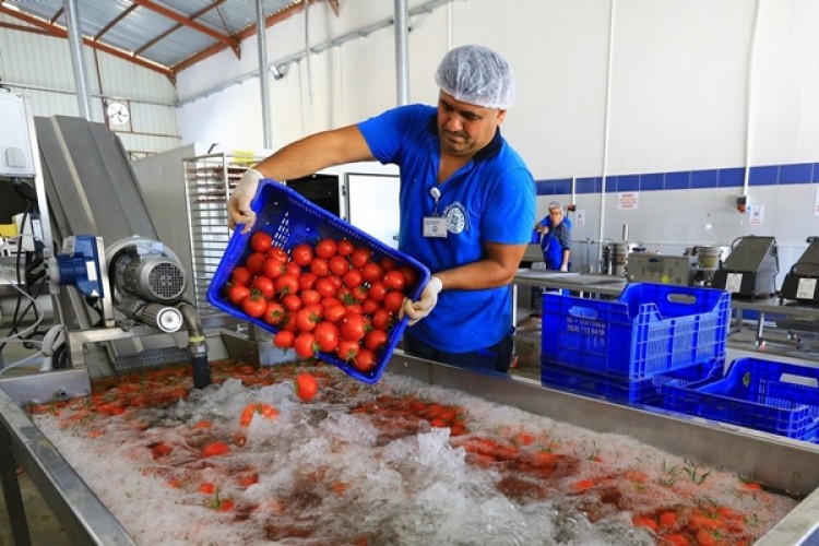 Büyükşehirden ürünlerin ömrünü uzatan tesis