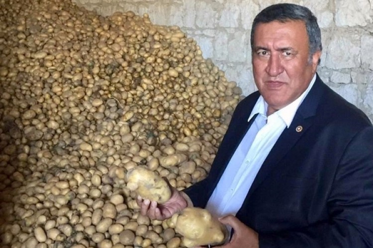 Gürer “Patates’te Biri Yazıyor Biri Bozuyor.”