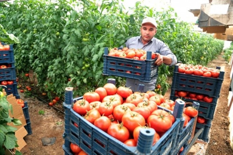 Serayla Köye Göçtüler Şimdi De OSB Kuracaklar