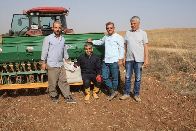 Yozgat'ta Yulaf Çeşit Deneme Ekimi Yapıldı