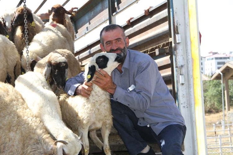 18 Genç Çiftçiye 612 Adet Küçükbaş Hayvan Dağıtıldı