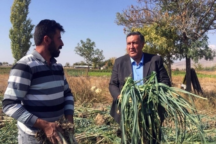 Pırasa, Üreticinin Yüzünü Güldürmedi