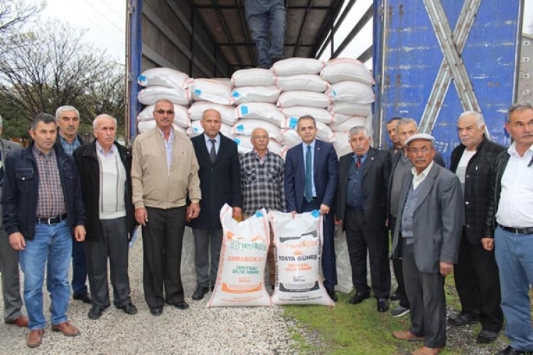 Tosya’da Üreticilere 24 Ton Çeltik Tohumu Dağıtıldı