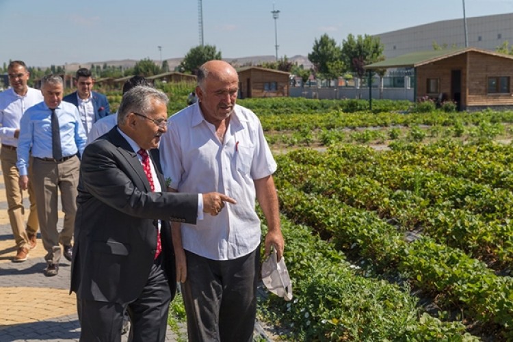 Organik Tarıma Büyükşehir'den Destek