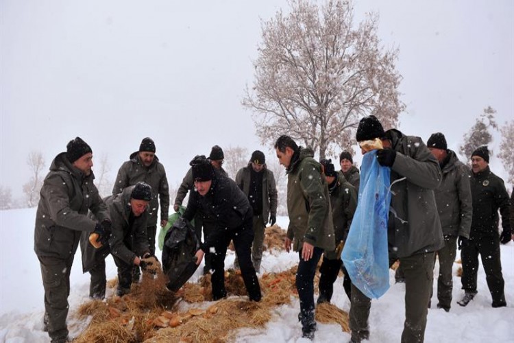 Yoğun Kış Şartlarının Yaşandığı Ankara’da Yaban Hayvanları Unutulmadı…