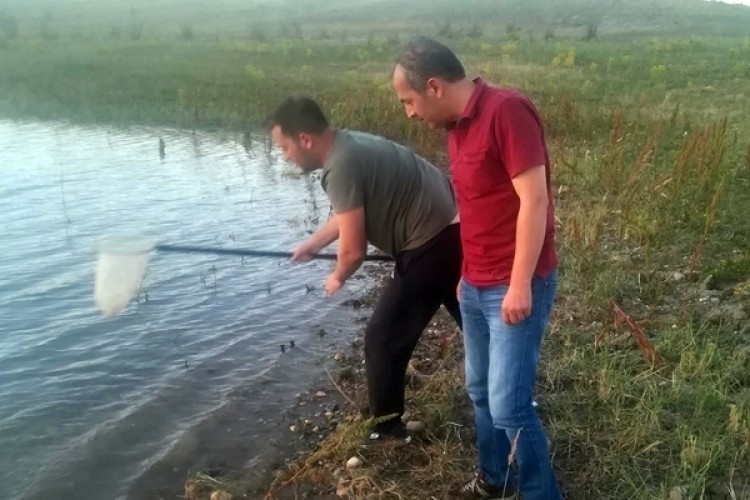 Gümüşhane'de Göletlere 45 Bin Sazan Yavrusu Bırakıldı