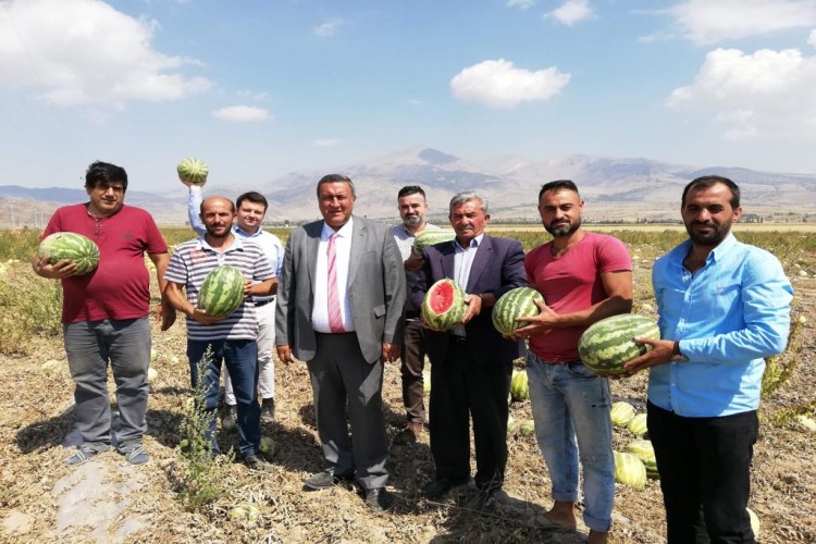 “Fiyatı 10 Kuruşa Kadar Düşen Karpuz, Tarlada Kaldı”