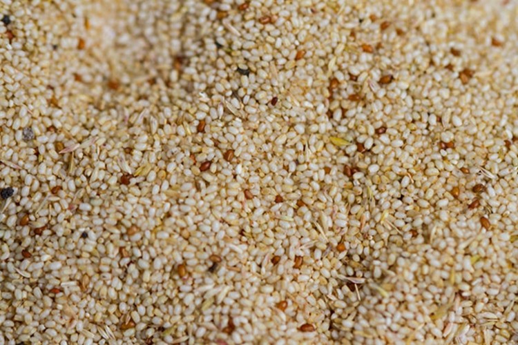 Teff tohumu nedir, faydaları nelerdir? Teff tohumu nasıl kullanılır?