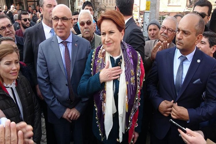 Akşener: Avrupa Birincisiymişiz Hayvancılıkta! Hadi Oradan