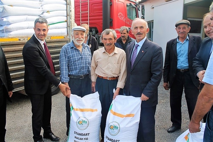 Çiftçilere % 40 Hibe Destekli Macar Fiğ Ve Yonca Tohumu Dağıtıldı