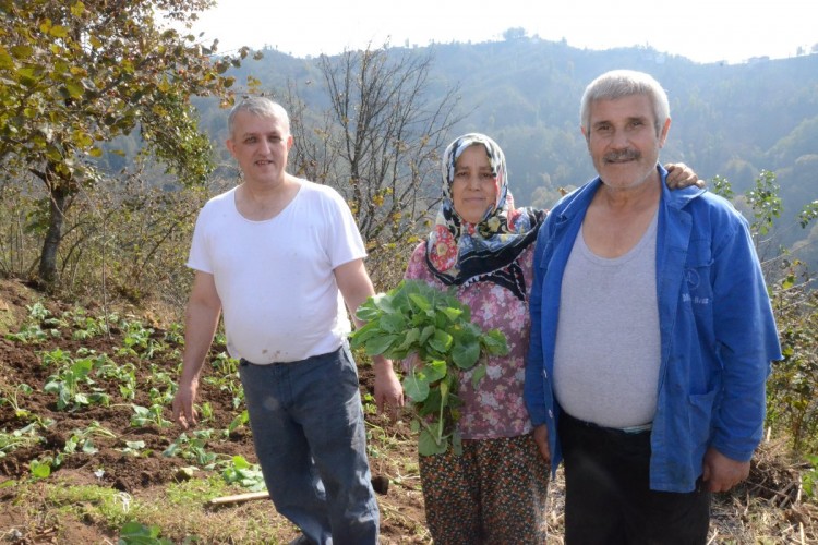 Bu köyde yaşayan herkesin soyadı ‘Sarı’