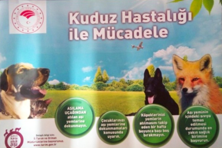 Yaban Hayvanları Havadan Kuduza Karşı Aşılanıyor