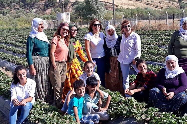 Şekerbank'ın Desteklediği “Çıtır Çileğim Projesi” Hayata Geçirildi