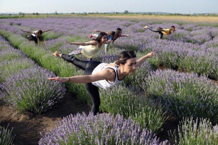 ‘Lavanta’ Tarlasında Yoga İle Güne Başladılar