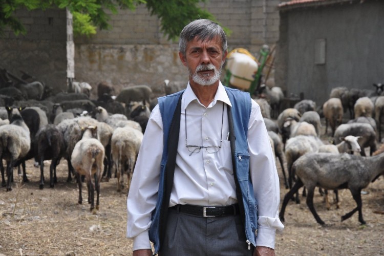 ‘Kuzu makinesi’ sayesinde hayvancılığa katkı sağlıyor