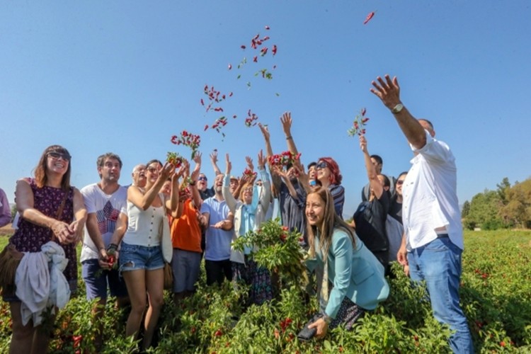 Gastronomi Festivali Biber Hasadı İle Başladı