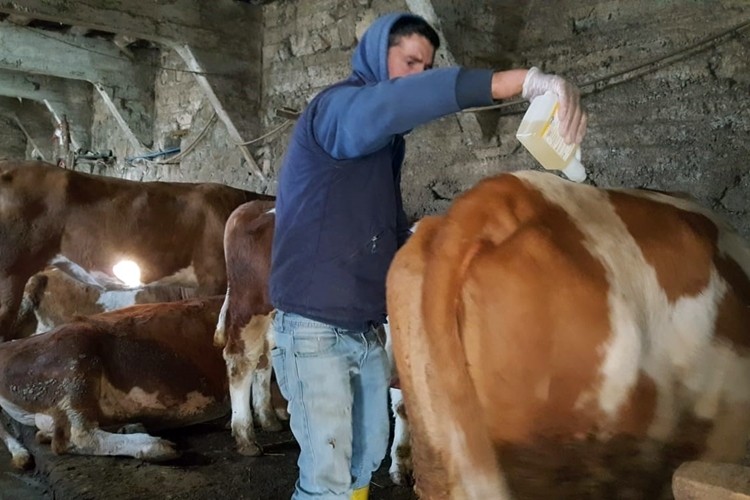 İl Müdürlüğü Uyardı! Kene Mücadelesi Başladı