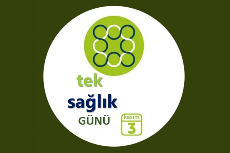 Gözet: Tek Sağlık , “Sağlığın” Geleceği Demektir!!!