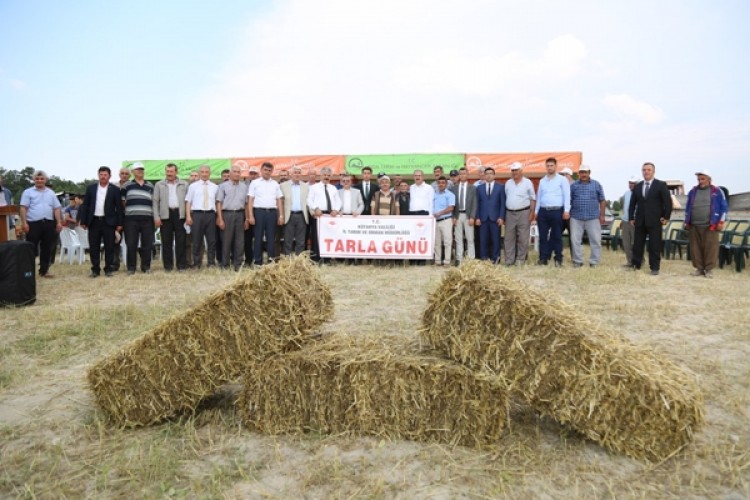 Aslanapa İlçesinde Macar Fiği Tarla Günü Düzenlendi