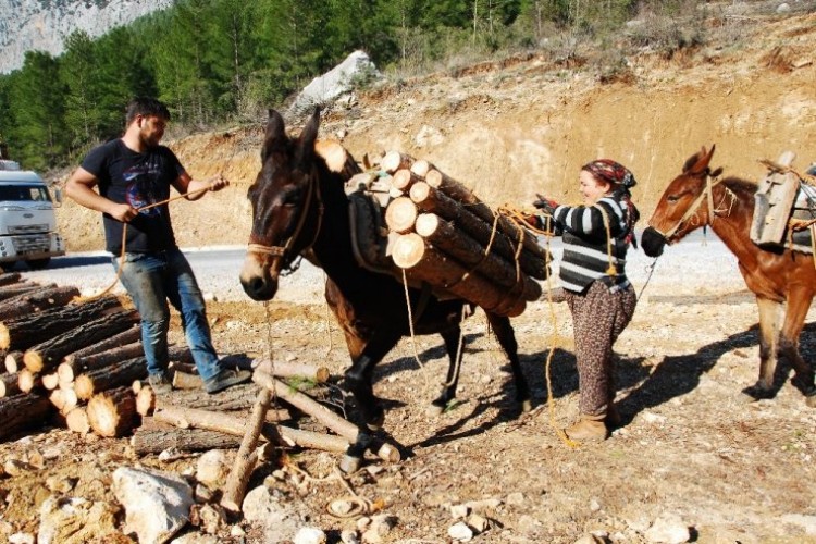 8 ay dağda çalışıyorlar! Günde 300 lira...