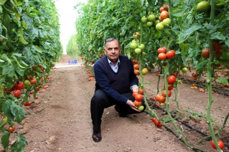 Çiftçiler Artan Maliyetler Nedeniyle Zor Durumda