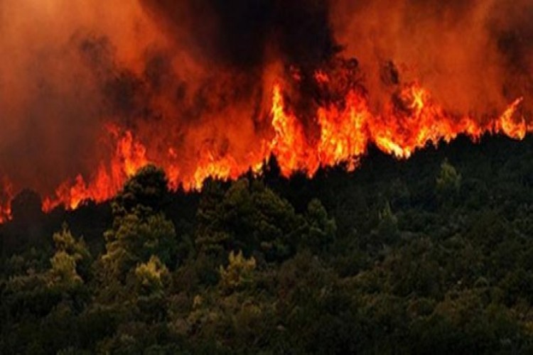 9 İlde Çıkan Yangınlar Kontrol Altına Alındı