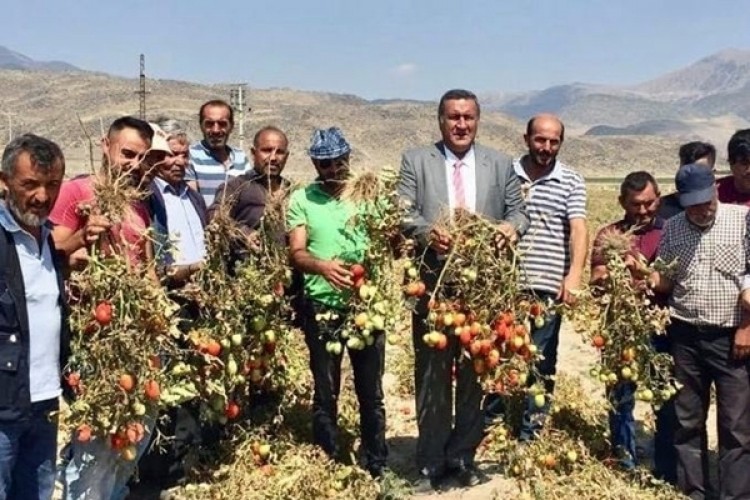 Gürer: “Çiftçiye ÇKS Zorunluluğu Esnetilsin”